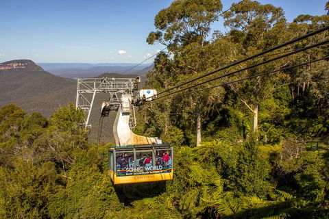 All-Inclusive Blue Mountains Day Trip With River Cruise - Accommodation QLD 39