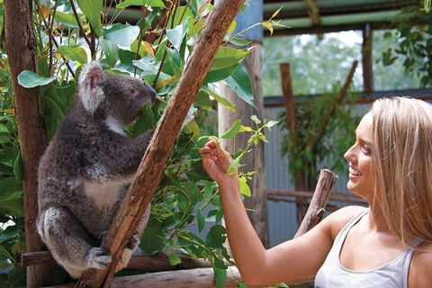 Private Guided Tour: Blue Mountains Tour From Sydney - Accommodation QLD 8