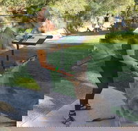 Sydney Private Day Tours - Central Coast Beaches Plus Wildlife  Reptile Park - Accommodation QLD