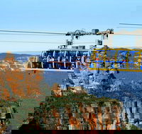 Blue Mountains Private Day Tour from Sydney with Wildlife Park and Cruise - Accommodation QLD