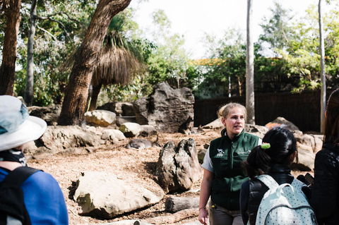 Sydney Taronga Zoo General Entry Ticket And Wild Australia Experience - Accommodation QLD 8