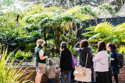 Sydney Taronga Zoo General Entry Ticket And Wild Australia Experience - Accommodation QLD 14