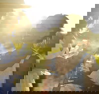 Hunter Valley Wine Tour from Sydney with Lunch and 3 Cellar Door Tastings - Accommodation QLD