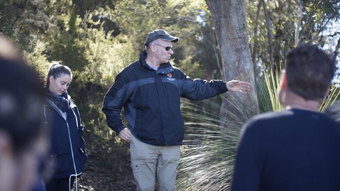 Small-Group Blue Mountains Day Trip From Sydney With Wildlife Park - Accommodation QLD 17