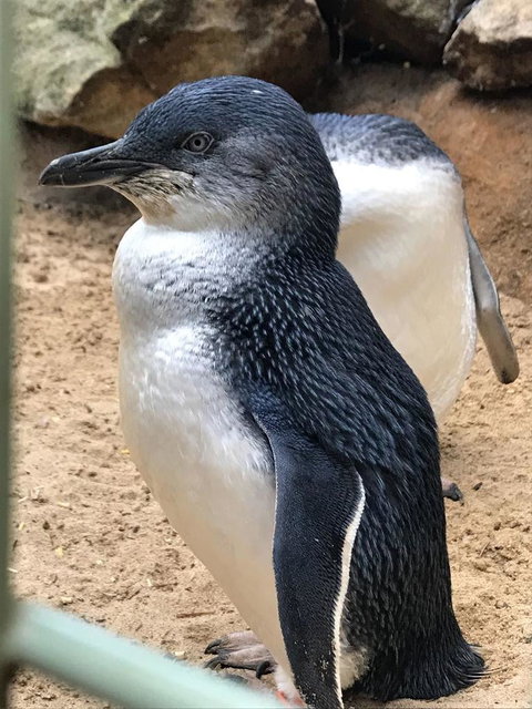 Small-Group Blue Mountains Day Trip From Sydney With Wildlife Park - Accommodation QLD 6