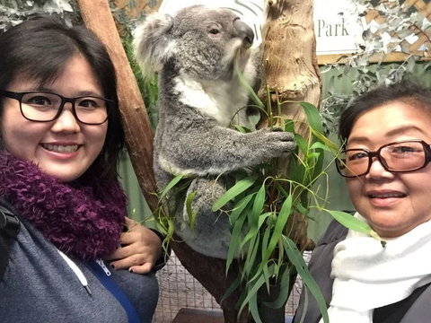 Small-Group Blue Mountains Day Trip From Sydney With Wildlife Park - Accommodation QLD 23