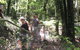 Small-Group Blue Mountains Day Trip From Sydney With Wildlife Park - thumb 32