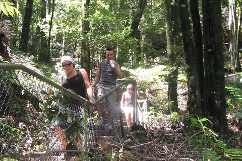 Small-Group Blue Mountains Day Trip From Sydney With Wildlife Park - Accommodation QLD 32