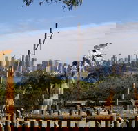 Sydney Taronga Zoo's Australian Animals Tour - Accommodation QLD