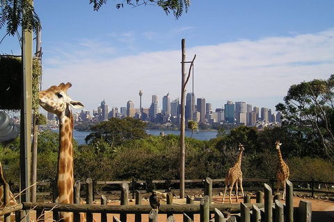 Sydney Taronga Zoo\'s Australian Animals Tour - Accommodation QLD 0