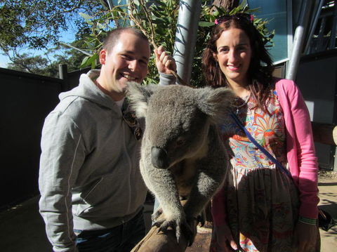 Sydney Taronga Zoo\'s Australian Animals Tour - Accommodation QLD 7