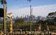 Sydney Taronga Zoo\'s Australian Animals Tour - thumb 8