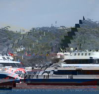 Sydney Boxing Day Cruise 2019 - Accommodation QLD