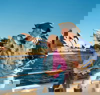 Sydney Harbour Highlights Cruise - Accommodation QLD