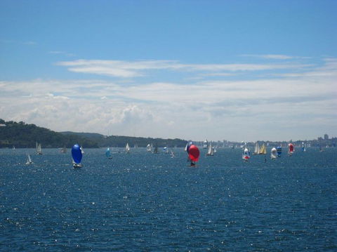 Sydney Harbour Top Deck Lunch Cruise - Accommodation QLD 20