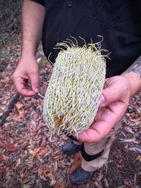 Sydney Harbour Top Deck Lunch Cruise - Accommodation QLD 10