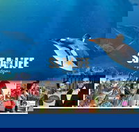 Sydney Attractions Pass SEA LIFE Aquarium Sydney Tower Eye WILD LIFE Zoo and Madame Tussauds - Accommodation QLD