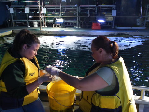 SEA LIFE Sydney Aquarium Entrance Ticket - Accommodation QLD 14