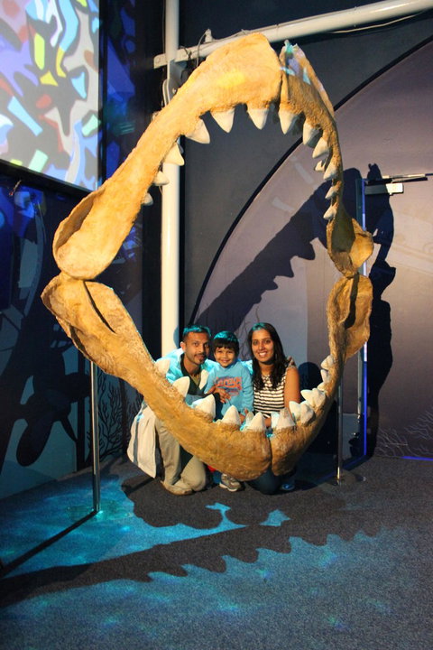 SEA LIFE Sydney Aquarium Entrance Ticket - Accommodation QLD 6