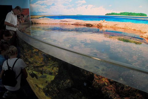 SEA LIFE Sydney Aquarium Entrance Ticket - Accommodation QLD 24