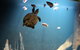 SEA LIFE Sydney Aquarium Entrance Ticket - thumb 4