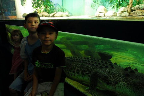 SEA LIFE Sydney Aquarium Entrance Ticket - Accommodation QLD 22