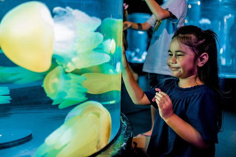 SEA LIFE Sydney Aquarium Entrance Ticket - Accommodation QLD 26