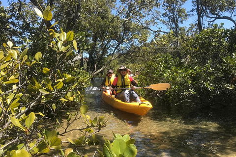 Paddle In Paradise - 4 Hours Double Kayak Hire - Accommodation QLD 1