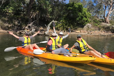Paddle In Paradise - 4 Hours Double Kayak Hire - Accommodation QLD 2