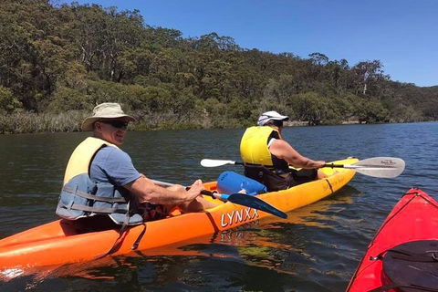 Paddle In Paradise - 4 Hours Double Kayak Hire - Accommodation QLD 4