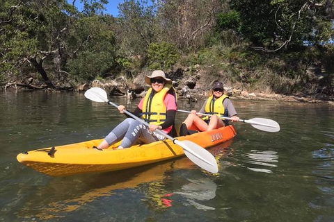 Paddle In Paradise - 4 Hours Double Kayak Hire - Accommodation QLD 6