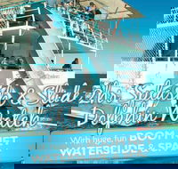 Port Stephens Dolphin Watching Cruise Including Splash and Slide - Accommodation QLD