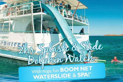 Port Stephens Dolphin Watching Cruise Including Splash And Slide - Accommodation QLD 0