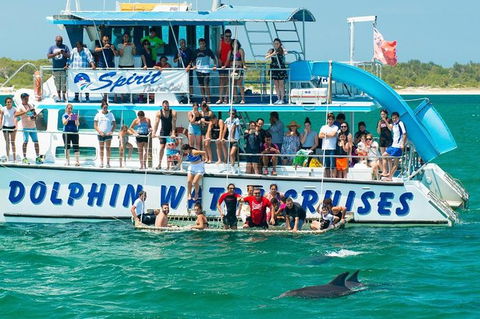 Port Stephens Dolphin Watching Cruise Including Splash And Slide - Accommodation QLD 1