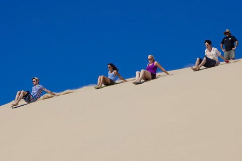 Port Stephens Day Tour From Sydney Including 4WD, Sandboarding And Dolphins - Accommodation QLD 1