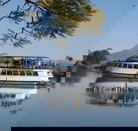 Tweed River and Rainforest Eco Cruise - Accommodation QLD