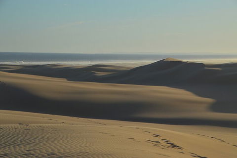Port Stephens Bush, Beach And Sand Dune 4WD Passenger Tour - Accommodation QLD 6