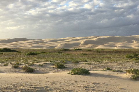 Port Stephens Bush, Beach And Sand Dune 4WD Passenger Tour - Accommodation QLD 3