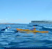 Whale Watching by Sea Kayak in Batemans Bay - Accommodation QLD