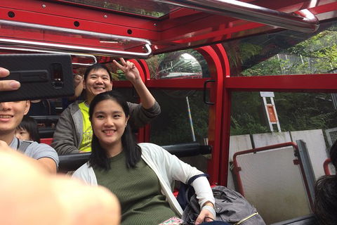 All-Day Blue Mountains Private Tour With Professional Guide For Up To 4 People - Accommodation QLD 15