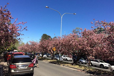 All-Day Blue Mountains Private Tour With Professional Guide For Up To 4 People - Accommodation QLD 16