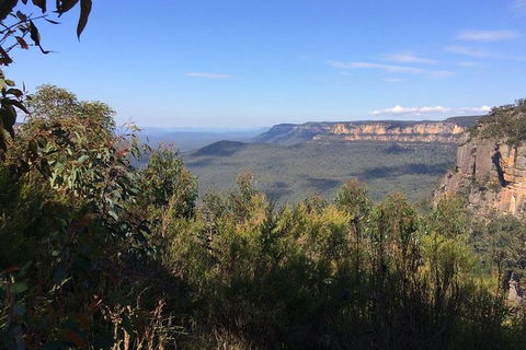 All-Day Blue Mountains Private Tour With Professional Guide For Up To 4 People - Accommodation QLD 4