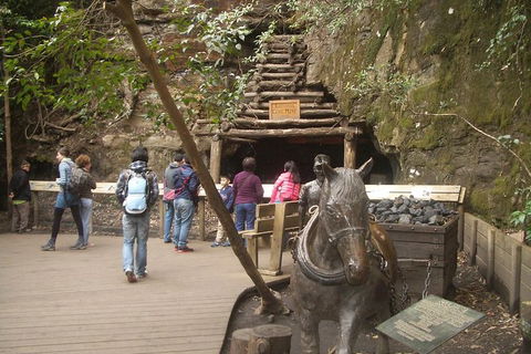 All-Day Blue Mountains Private Tour With Professional Guide For Up To 4 People - Accommodation QLD 9