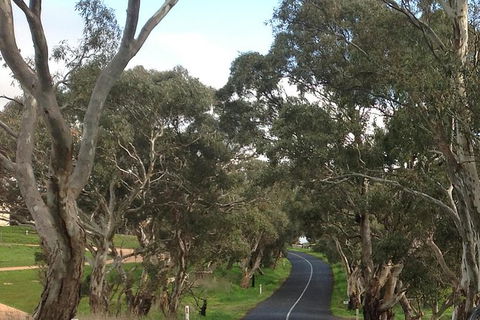 All-Day Blue Mountains Private Tour With Professional Guide For Up To 4 People - Accommodation QLD 22