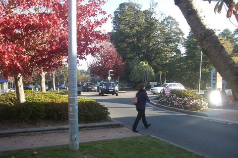 All-Day Blue Mountains Private Tour With Professional Guide For Up To 4 People - Accommodation QLD 12