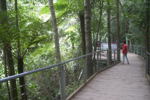 All-Day Blue Mountains Private Tour With Professional Guide For Up To 4 People - Accommodation QLD 20