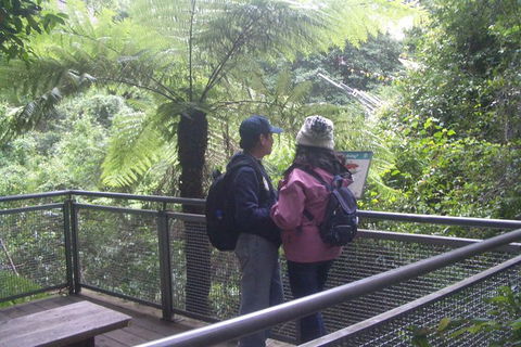 All-Day Blue Mountains Private Tour With Professional Guide For Up To 4 People - Accommodation QLD 19