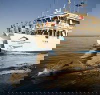 Jervis Bay Dolphin Watch Cruise - Accommodation QLD