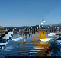 Batemans Bay Oyster Tasting Kayak Tour - Accommodation QLD