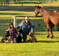 Meet The Animals - Accommodation QLD